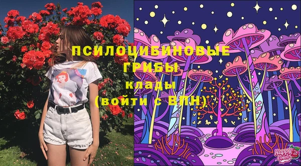 прущая мука Арсеньев