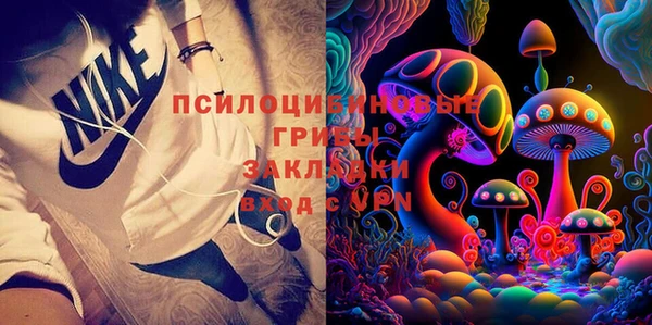 прущая мука Арсеньев