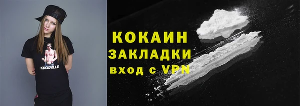 ПСИЛОЦИБИНОВЫЕ ГРИБЫ Аркадак